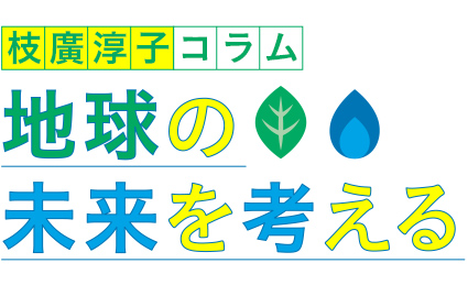 枝廣淳子コラム　地球の未来を考える