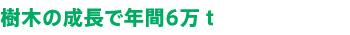 樹木の成長で年間6万ｔ