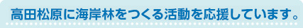 高田松原に海岸林をつくる活動をはじめています。