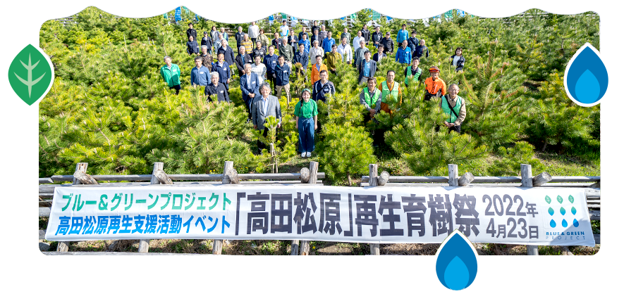 高田松原の再生に向けた試験植栽、いよいよスタート
