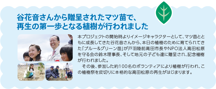 谷花音さんから贈呈されたマツ苗で、再生の第一歩となる植樹が行われました本プロジェクトの開始時よりイメージキャラクターとして、マツ苗とともに成長してきた谷花音さんから、本日の植樹のために育てられてきた「ブルー＆グリーン苗」が戸羽陸前高田市長やNPO法人高田松原を守る会の鈴木理事長、そして地元の子ども達に贈呈され、記念植樹が行われました。　その後、参加した約100名のボランティアにより植樹が行われ、この植樹祭を皮切りに本格的な高田松原の再生がはじまります。