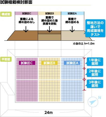 図：試験植栽検討断面