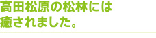 高田松原の松林には癒されました。