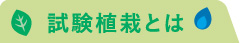 試験植栽とは